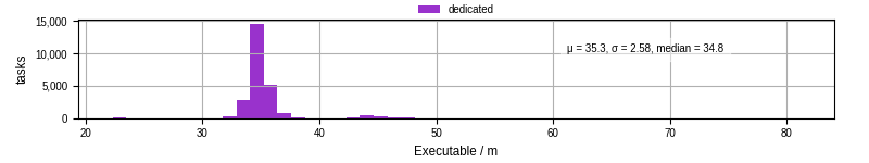Time the executable took to run