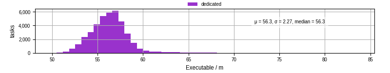 Time the executable took to run