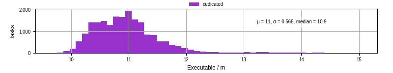 Time the executable took to run