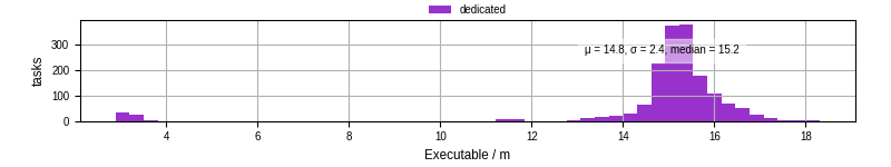Time the executable took to run