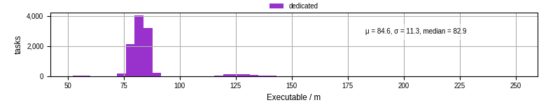 Time the executable took to run