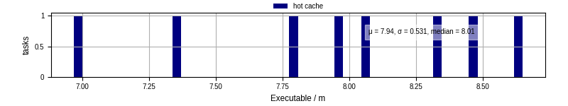 Time the executable took to run