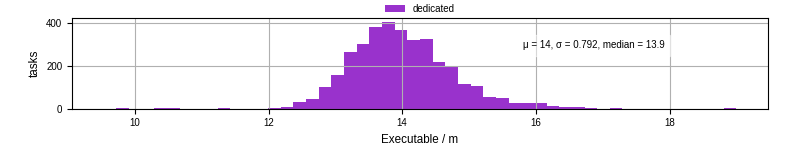 Time the executable took to run