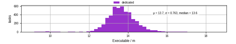 Time the executable took to run