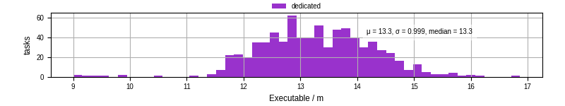 Time the executable took to run