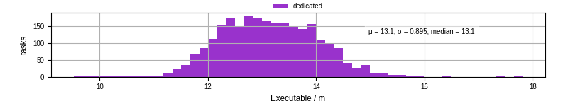 Time the executable took to run
