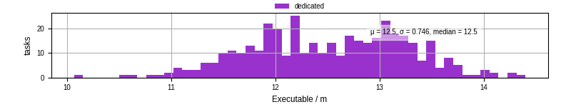 Time the executable took to run