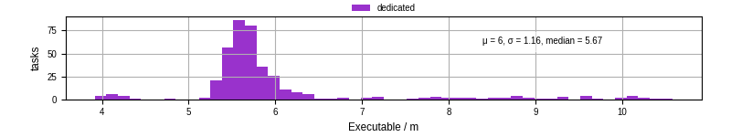 Time the executable took to run