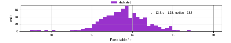 Time the executable took to run