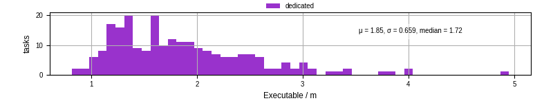 Time the executable took to run