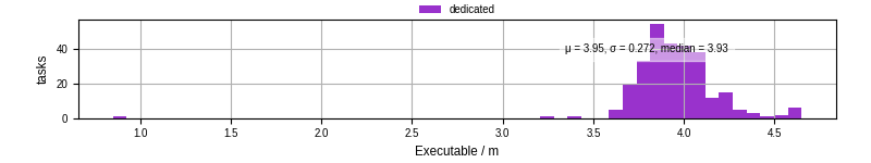 Time the executable took to run